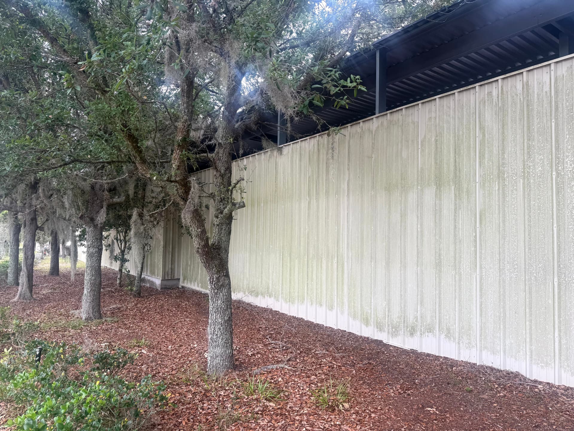 Before and after Fence Cleaning