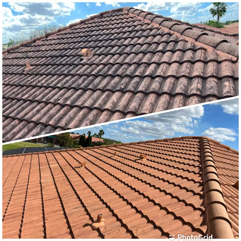 Is Your Roof Discolored? Here’s What Might Be Causing It Image