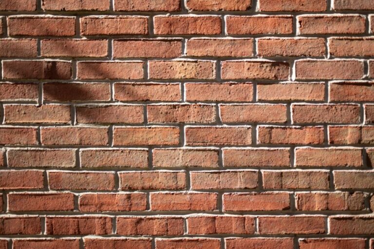 Brick Cleaning for Florida Homes: How to Remove Grime Without Damaging Mortar