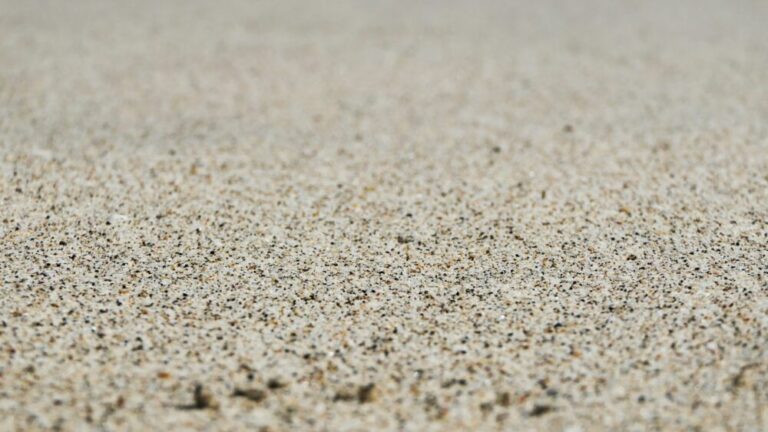Concrete Cleaning Orlando: How Pros Work Toward Even Results and Fewer Stripe Marks