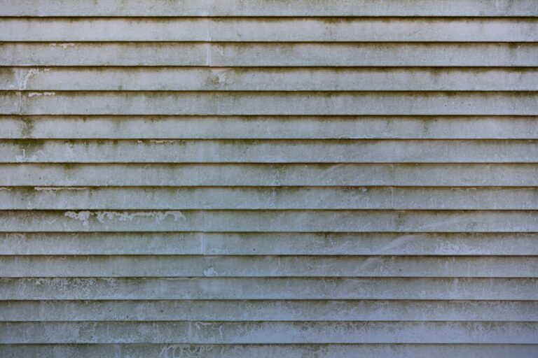 Remove Mold From House Exterior Without Damaging Your Siding or Stucco